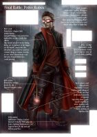 FINAL_BATTLE__Potter_Robes_by_Draykonis.jpg