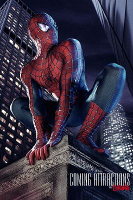 spiderman costume2