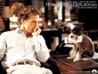 Matthew_McConaughey_in_How_to_Lose_a_Guy_in_10_Days_Wallpaper_3_1024.jpg
