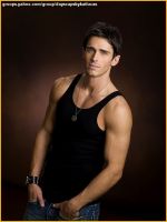 brandonbeemer2vk2.jpg