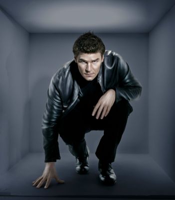 David Boreanaz (5)