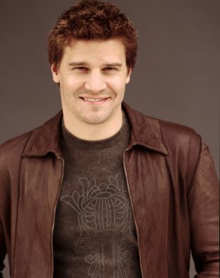 i19671 346101e0boreanaz1004