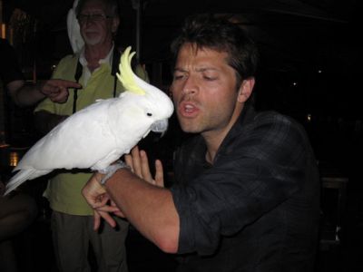 misha-collins-bird