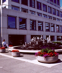 Fountain in FREE FALL